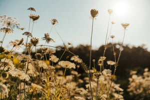 Challenging Mood Boosters