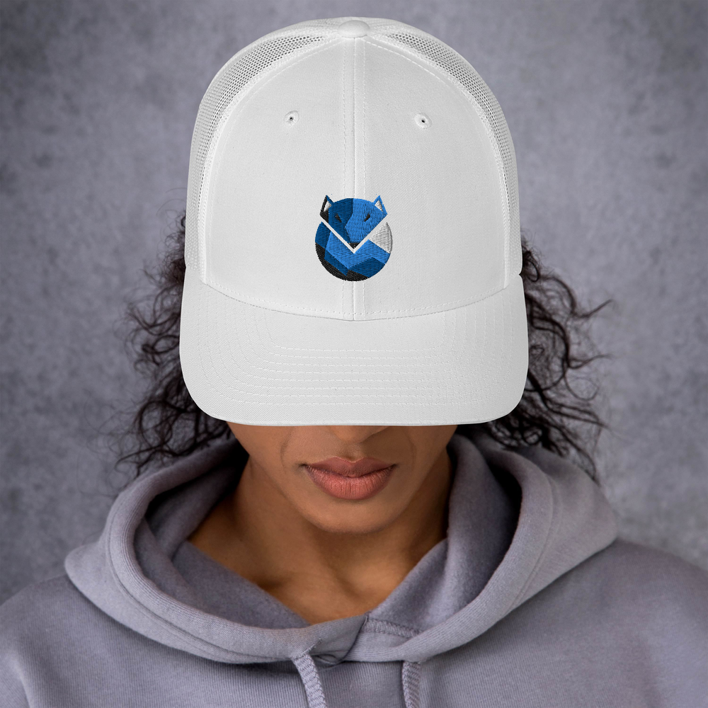 Cap - 'Arctic'