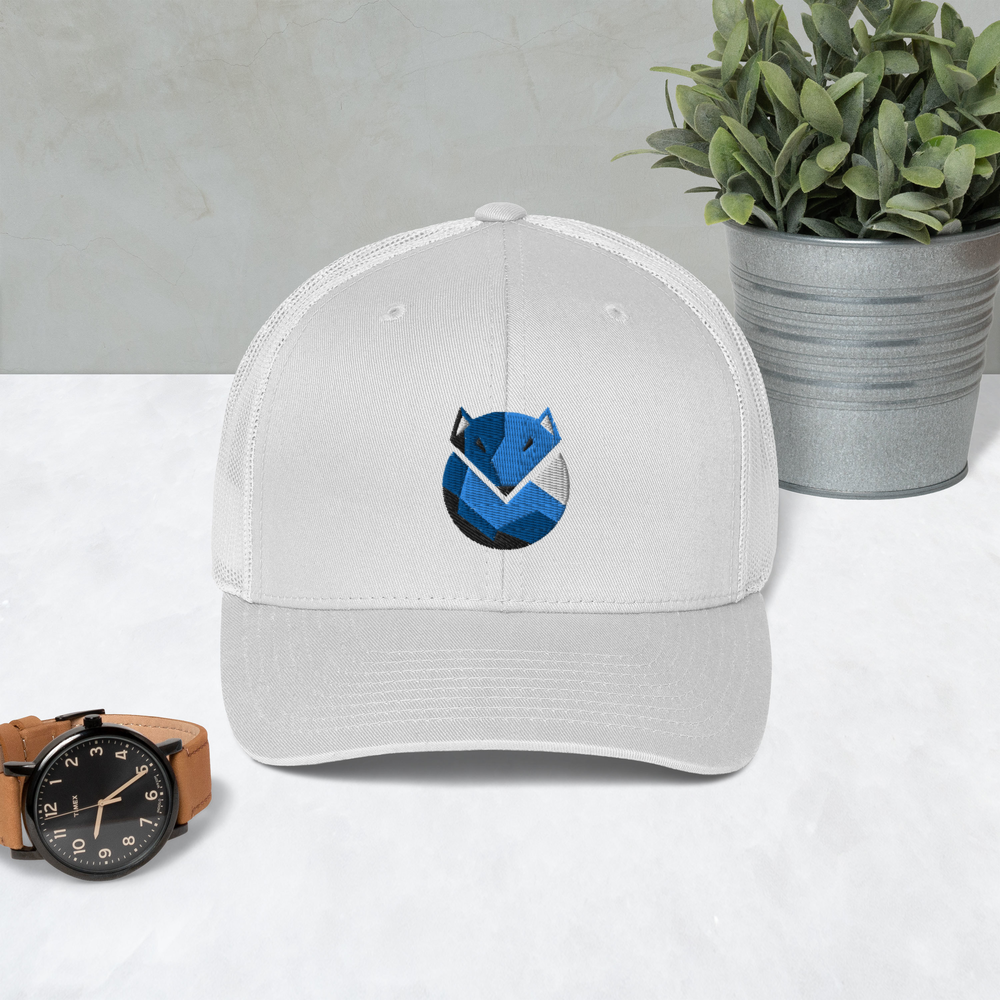 Cap - 'Arctic'