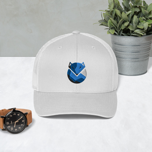 Cap - 'Arctic'