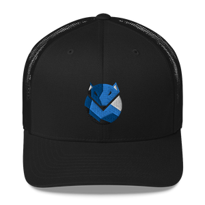 Cap - 'Arctic'