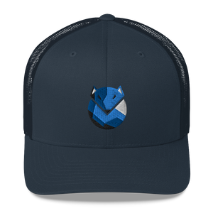 Cap - 'Arctic'